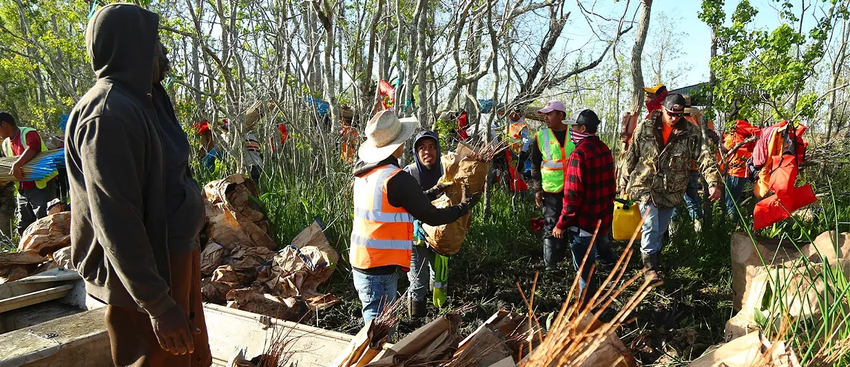 group of people working in wooded area with orange vests