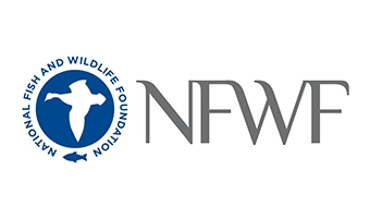 National Fire and Wildlife Foundation